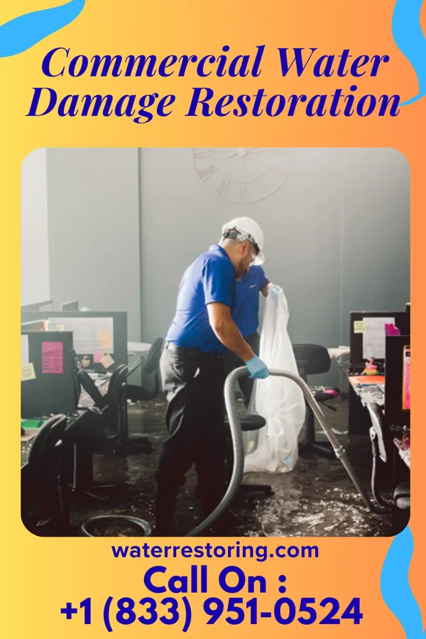 Commercial Water Damage Restoration in Bronaugh, MO