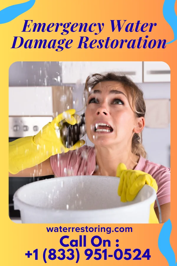 Emergency Water Damage Restoration in Bronaugh, MO