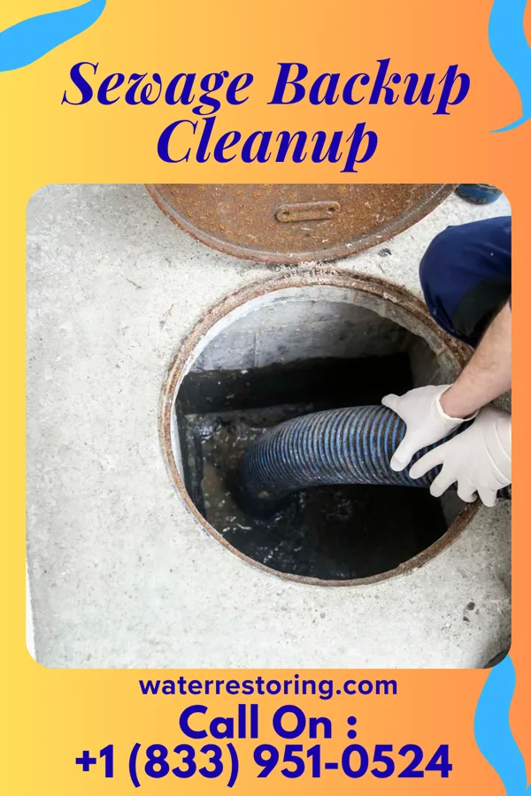 Sewage Backup Cleanup in Bronaugh, MO
