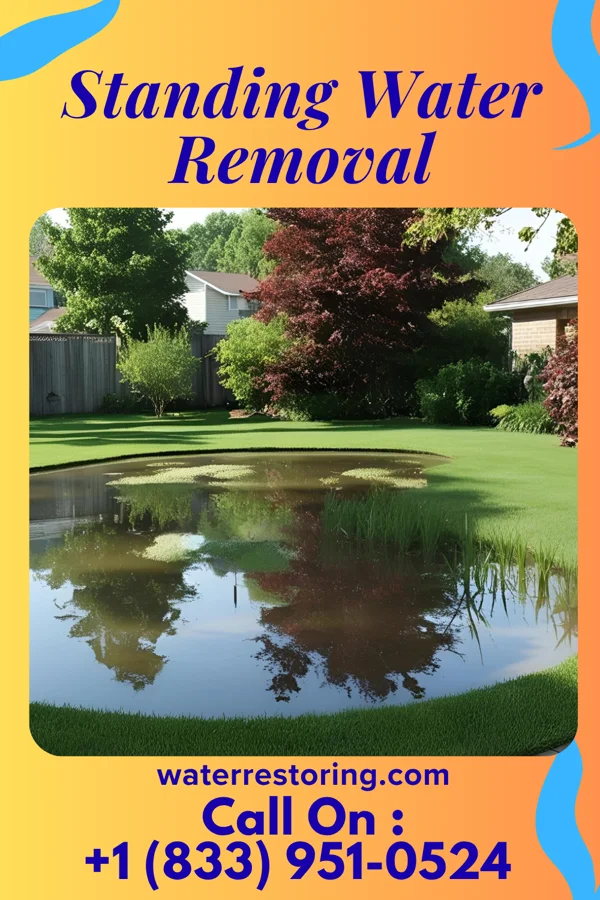 Standing Water Removal in Bronaugh, MO